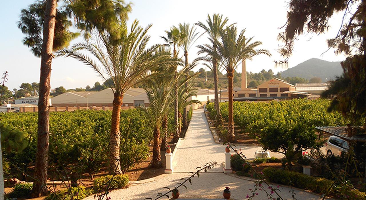 El Sequer Casa Rural Oliva Exteriér fotografie