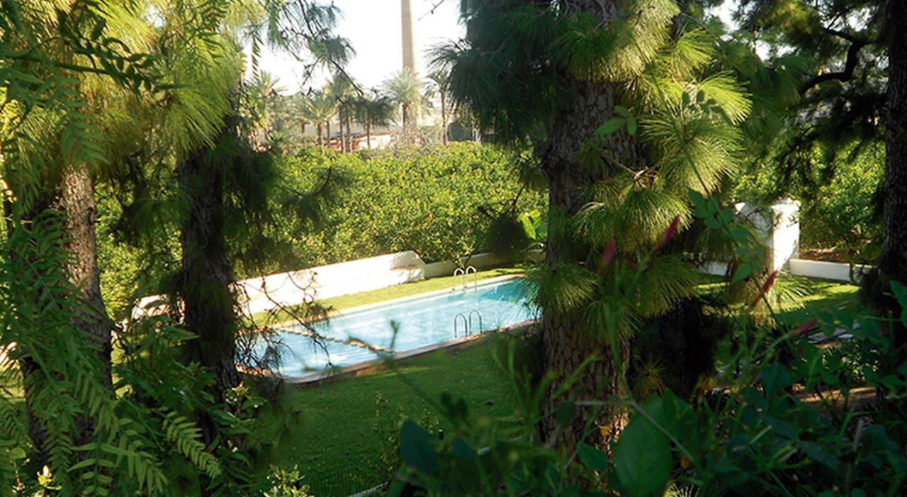 El Sequer Casa Rural Oliva Exteriér fotografie