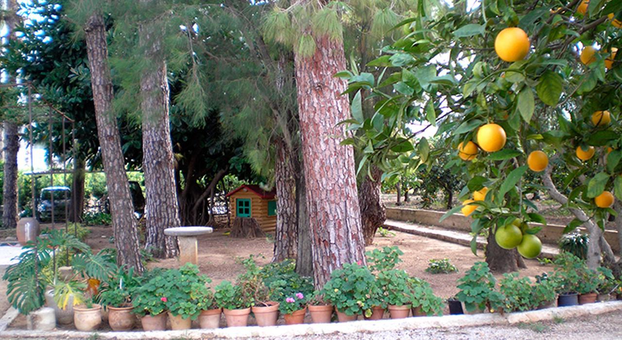 El Sequer Casa Rural Oliva Exteriér fotografie
